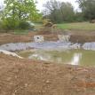 Pond