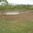 Pond