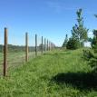 Horse Fence