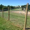 Horse Fence